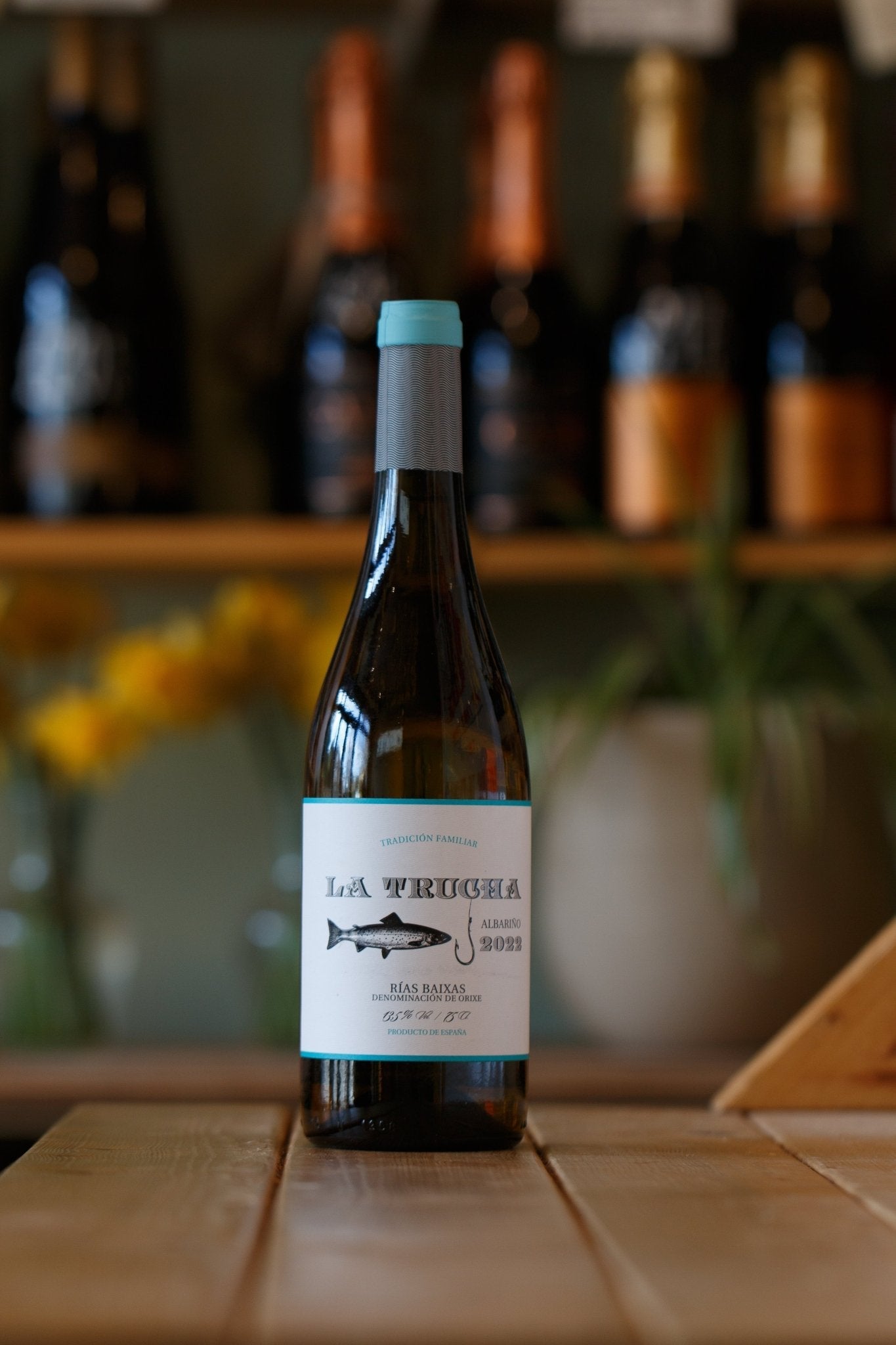 LA TRUCHA, RIAS BAIXAS, SPAIN, 2023 - Pulp