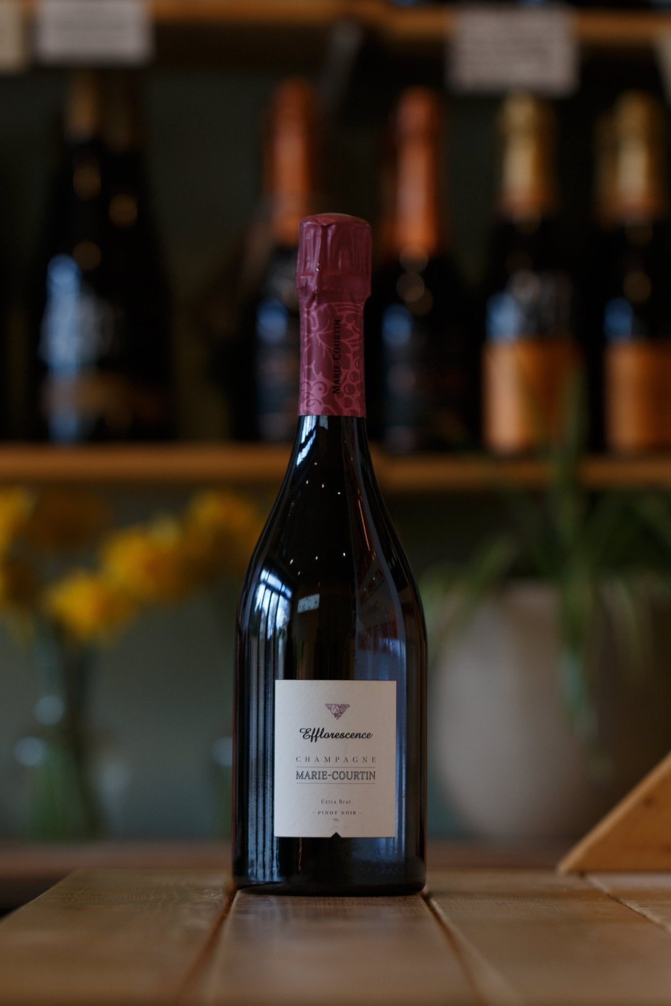 MARIE - COURTIN, EFFLORESCENCE, DOMINIQUE MOREAU,CHAMPAGNE,FRANCE, 2016 - Pulp