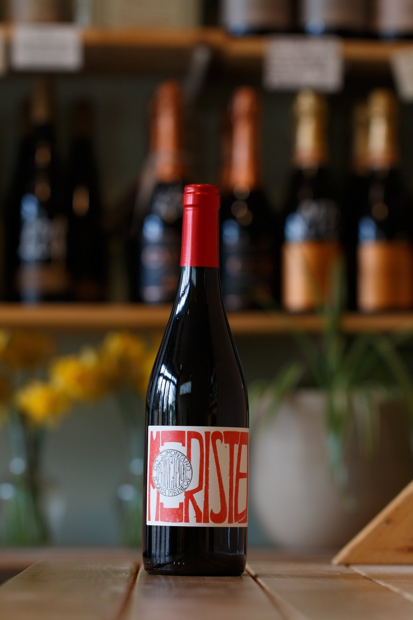 Principio, Pirineos, Somontano, Spain, 2022 - Pulp