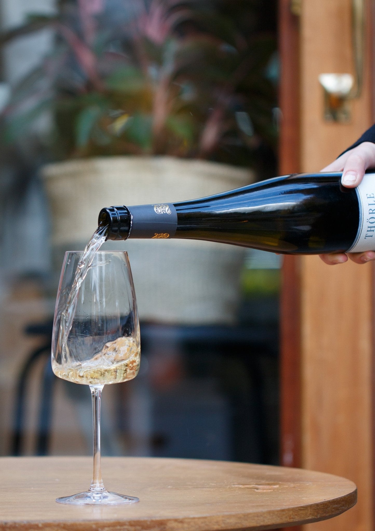 SAULHEIM, THÖRLE, RHEINHESSEN, GERMANY, 2021 - Pulp