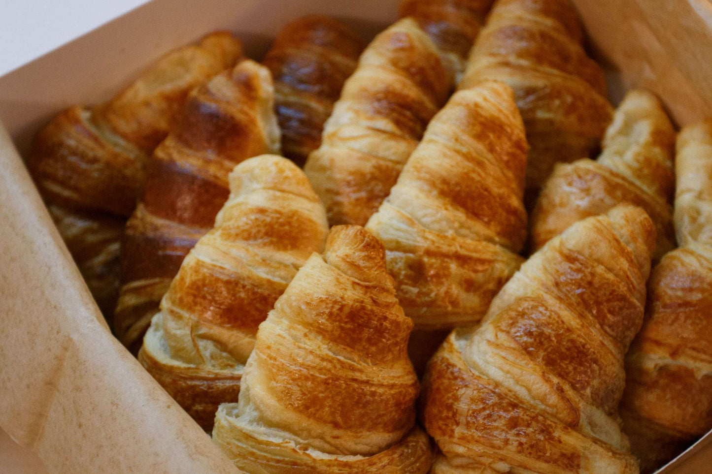 THE CROISSANT BOX - Pulp