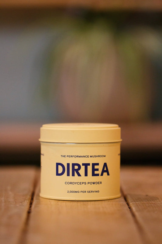 CORDYCEPS DIRTEA - Pulp